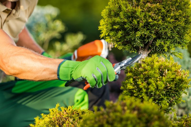 Landscaper Pruning a Bush